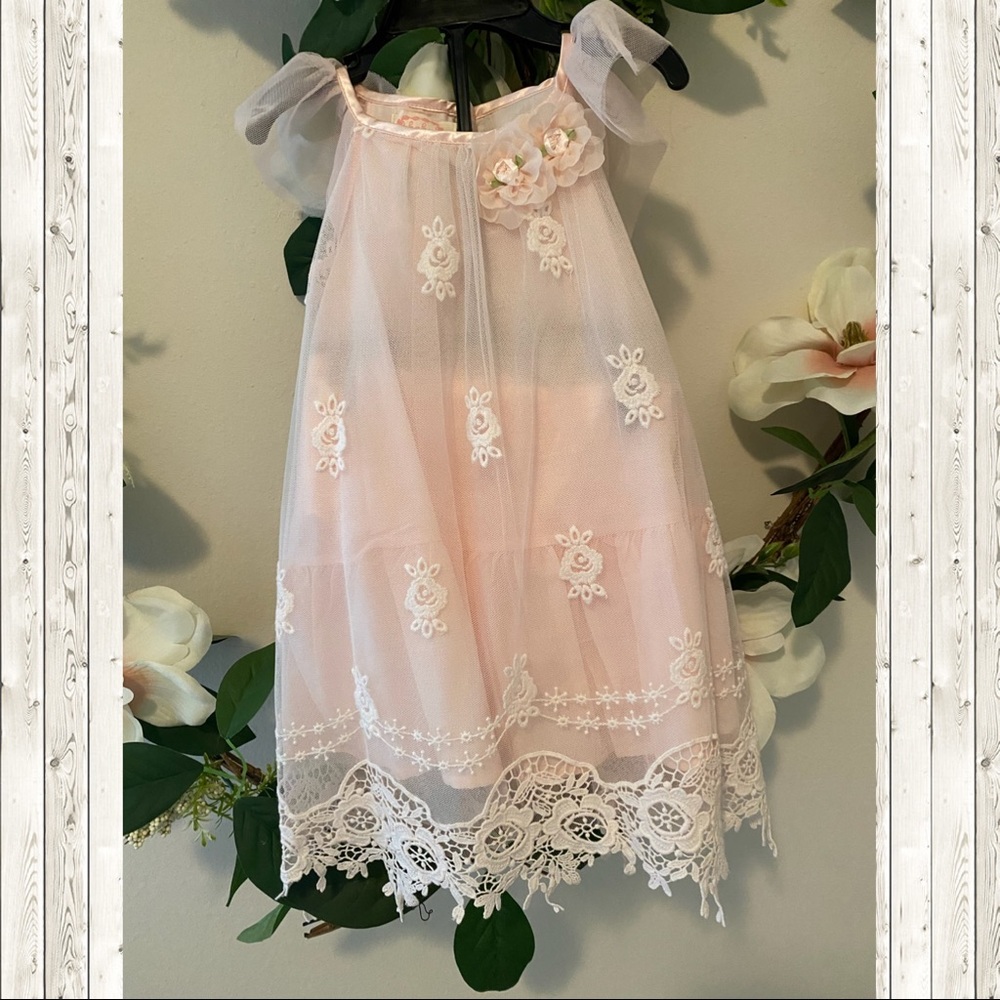 Biscotti Girl’s A-Line floral Dress 18 mos NWT